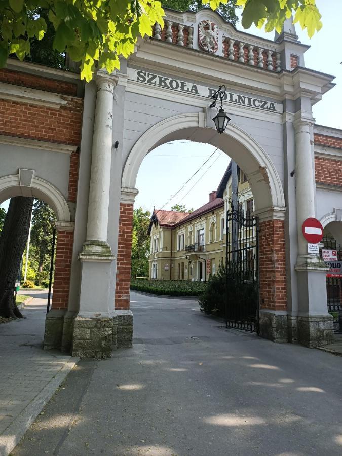 Apartament U Agaty Czernichow Krakow Zator Eksteriør billede
