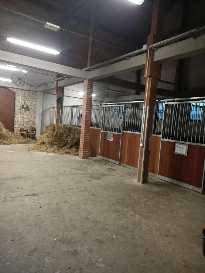 Apartament U Agaty Czernichow Krakow Zator Eksteriør billede